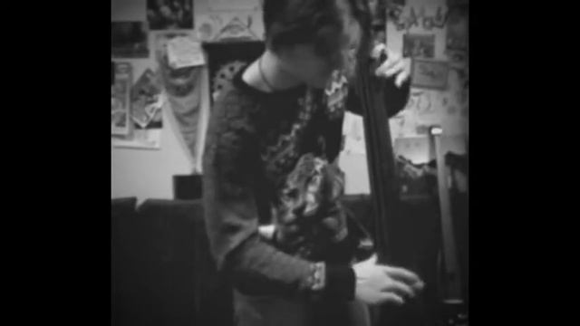 Funky Upright смотреть онлайн