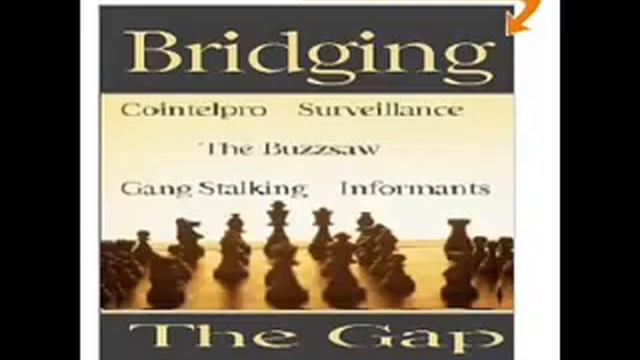 Part 1: Dr. John Hall Discusses Gang Stalking With Zeph Daniel смотреть онлайн