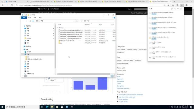 create a Python development environment offline (Anaconda + VS Code) смотреть онлайн