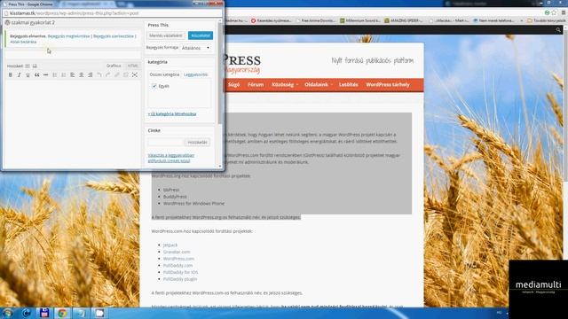 MMN HU Video WordPress 6 Eszkozok