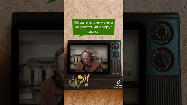 V10044g50000c63dvgjc77u3m10tjp9g 2