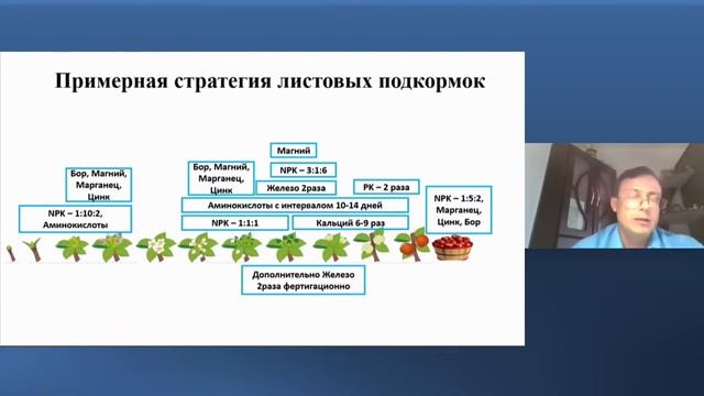 Агротехнические приемы, способствующие получению качественных плодов смотреть онлайн