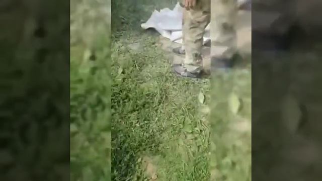 Укладка гранитной плитки смотреть онлайн