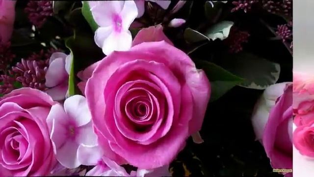 С_ДНЕМ_РОЖДЕНИЯ_МУЗЫКАЛЬНАЯ_ОТКРЫТКА_ПОЗДРАВЛЕНИЕ(1).mp4 смотреть онлайн