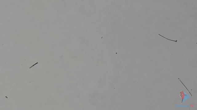 Электронные наручные часы смотреть онлайн