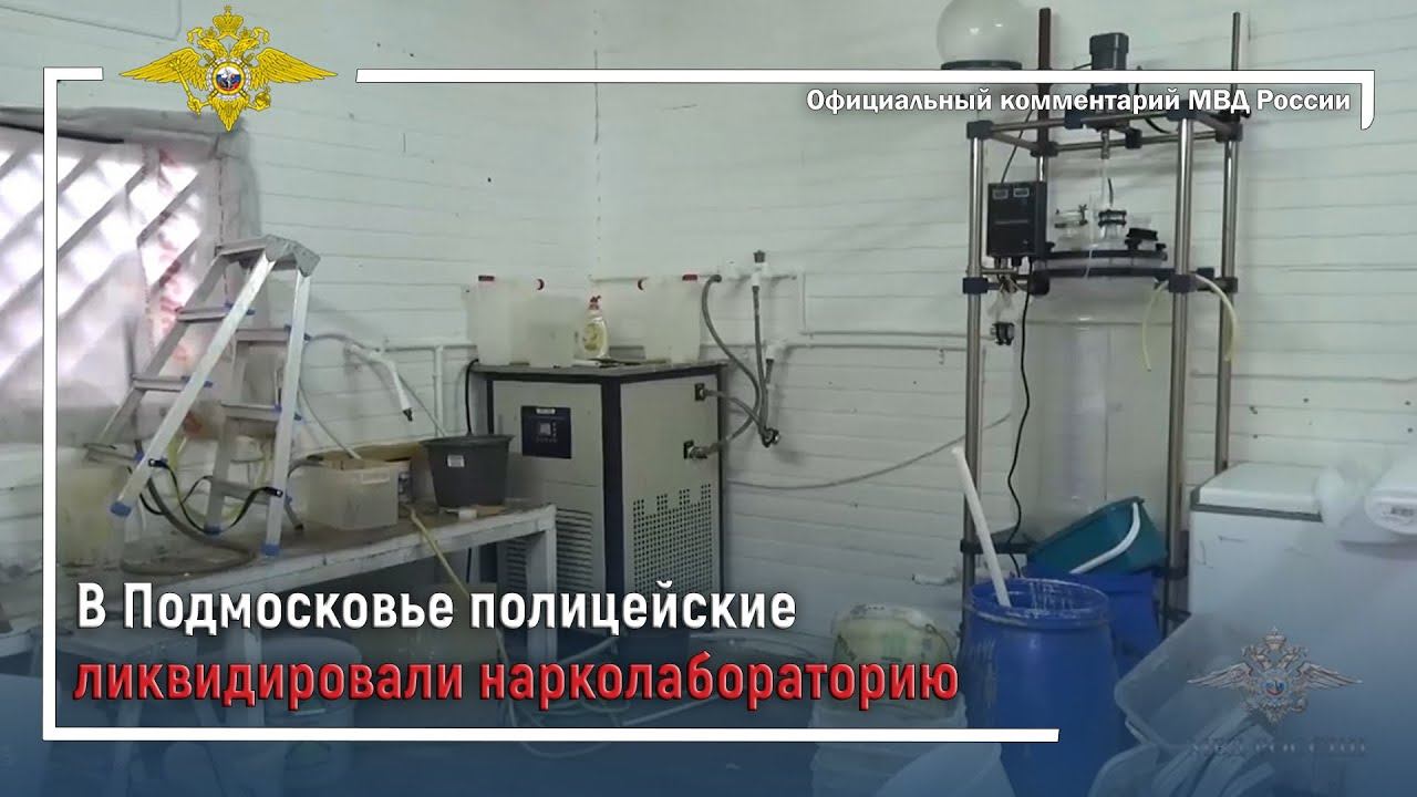 Ирина Волк: В Подмосковье полицейские ликвидировали нарколабораторию смотреть онлайн