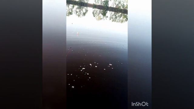 Рыбалка в поселке Дамса! смотреть онлайн