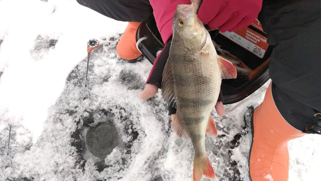Простая рыбалка без "монстров и раздач". С безмотылкой на Оке, Вареж смотреть онлайн