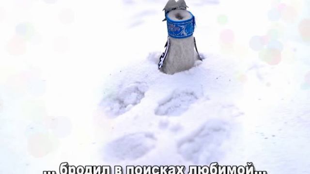 ролик КФХ Сибирские валенки - Омская область смотреть онлайн