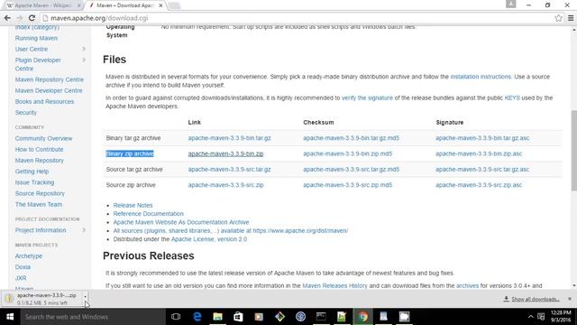 Install Maven on windows10 смотреть онлайн