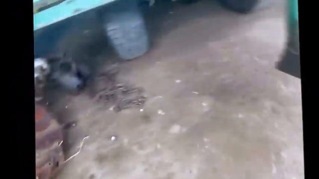 Самодельная сеялка к мотоблоку для кукурузы подсолнуха гарбуза смотреть онлайн
