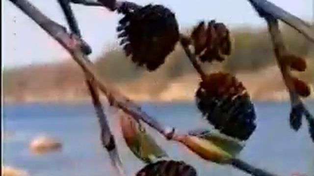 ольха смотреть онлайн