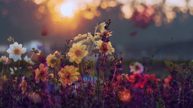 Twilight Forest dreaming | Violin and Shaman drum | Deep calming, relaxation and deep sleep смотреть онлайн