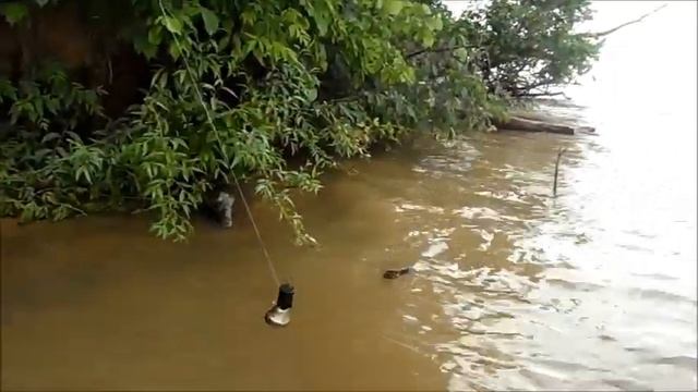 Рыбалка на Сурском водохранилище. Июнь 2023г смотреть онлайн