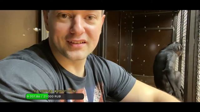 Оренбург и Новости Сегодня | Дан Запашный и Шимпанзе Боня - Вопрос Ответ | Вторая часть 05.02.2022