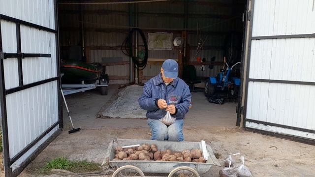 Как сохранить СВЕКЛУ зимой, чтобы не завяла? || Хранение в целлофановых пакетах смотреть онлайн
