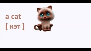 Видео урок для детей .Личные местоимения в английском языке. Personal pronouns