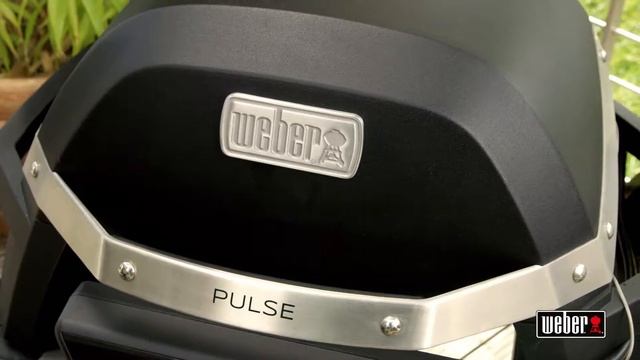 Weber Pulse смотреть онлайн