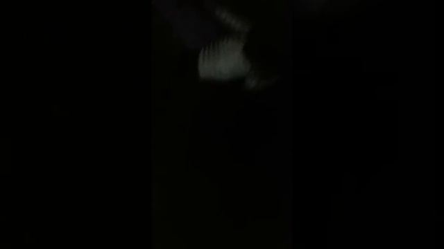 Страшный лес смерть и все такое часть 2 смотреть онлайн