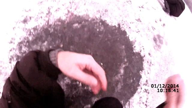 Ловля плотвы зимой на живца (видео-инструкция) Рыбалка 1 декабря 2014 смотреть онлайн