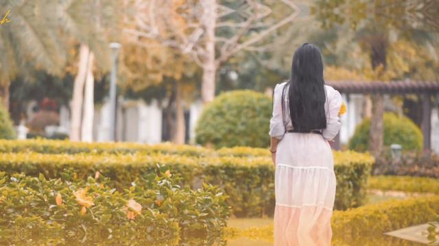 TRIỆU ĐOÁ HOA HỒNG - Nhạc Nga | Nghe phê luôn 🌹 смотреть онлайн
