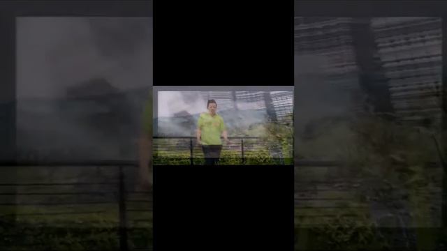 A punta e huevo Laureano Gomez 2017 смотреть онлайн