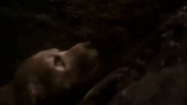 Homeward Bound sad scene смотреть онлайн