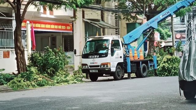 Осень. Тотальная обрезка деревьев. смотреть онлайн