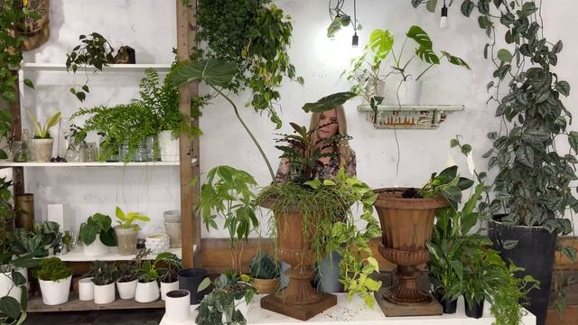 Create Mixed Houseplant Planters! | Vintage Style смотреть онлайн