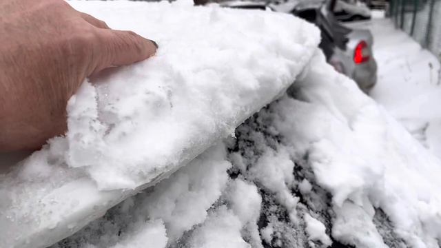 После ледяного дождя 18/19 декабря 2022 г смотреть онлайн