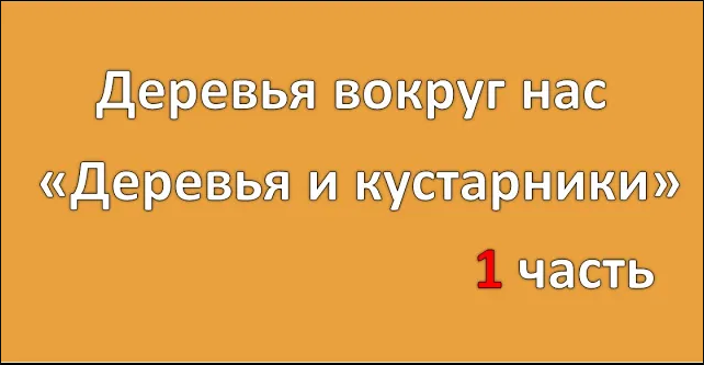 1ч Деревья вокруг нас Деревья и кустарники ЧДОУ Детский сад 198 ОАО РЖД смотреть онлайн