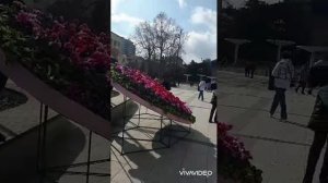 9 марта в Ялте на центральной площади огромное сердечко для женщин.