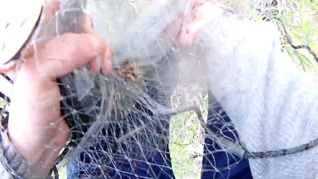 Заброс кастинговой сети смотреть онлайн