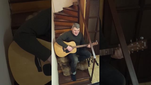 "Я бурый медведь" смотреть онлайн