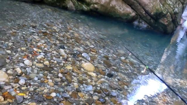 Ловля форели в Сочи. Малая река + каньон Краснодарского края. Мнение: "Как и где ловить?" смотреть онлайн