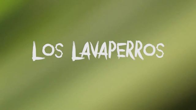 Invitación/Daniel Zambrano - Cortometraje "Los Lavaperros" (Festival Smart Films 2016) смотреть онлайн