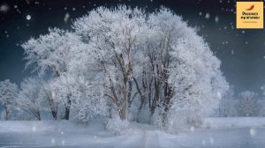 Рассказ мужчины | Измена жены с шефом. Муж узнал через 5 лет. Реальная история