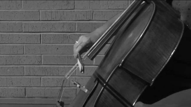 Theme from Schindler's List-Nurmira,cello смотреть онлайн