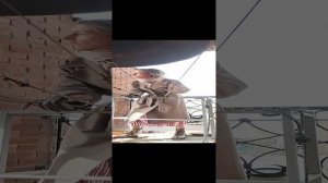 Пасхальный звон