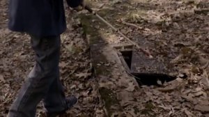 5 чувств страха  -триллер 2013