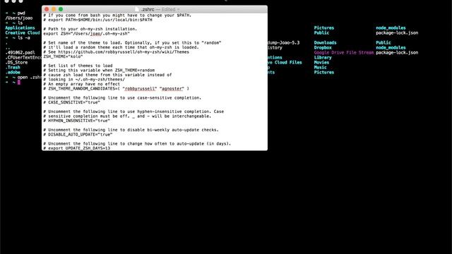 03 - Configuracion de Oh My Zsh смотреть онлайн