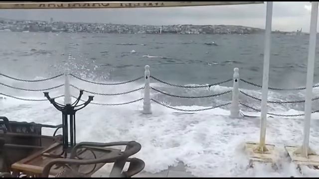 Иосиф Бродский «В Рождество все немного волхвы…», 1971 смотреть онлайн