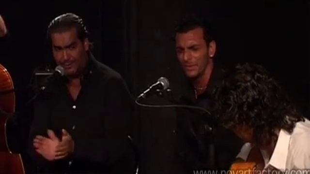Aurelia Vidal / Flamenco à Paris -Extrait 1/ http://www.flamenco-a-paris.com смотреть онлайн
