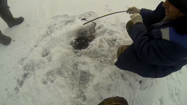 Астрахань 2017 Видео зимняя рыбалка Заключительный день смотреть онлайн