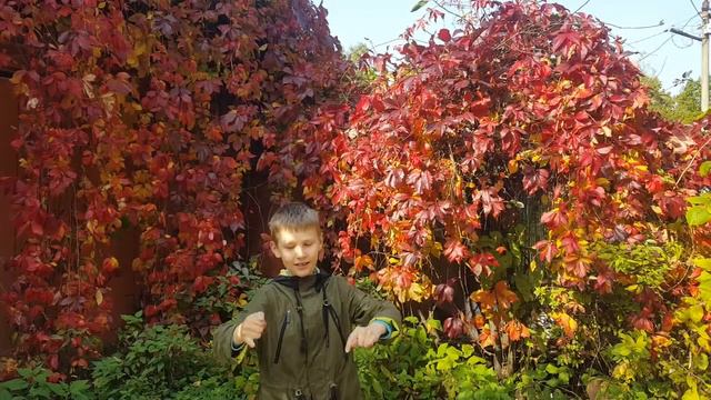 What a beautiful sunny day. English for kids. Английский для детей. смотреть онлайн
