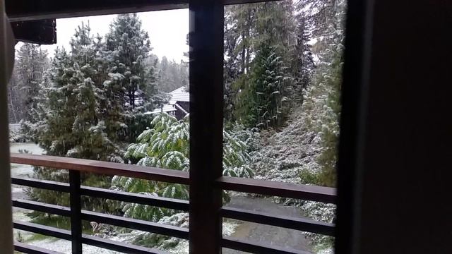 VID_20240916_081315.mp4 смотреть онлайн