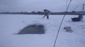 Ловим налима на крылены