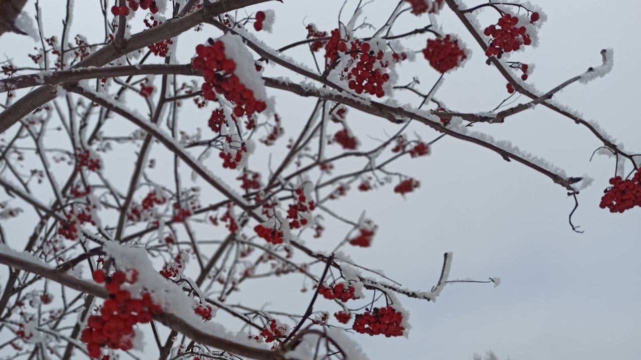 Нарезка из жизни// повяжем и погуляем смотреть онлайн