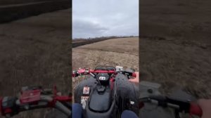 Yamaha YFM350 Warrior в поле