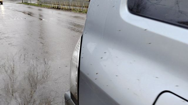 VID_20221228_103131.mp4